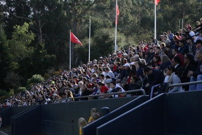 Saint Mary's Stadium photo
